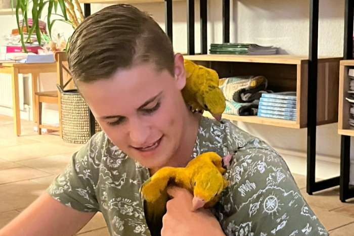 1-1 goudparkieten 25 supertam onverwant koppel