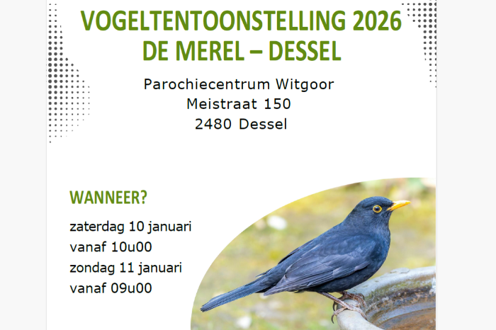 grote vogeltentoonstelling in dessel