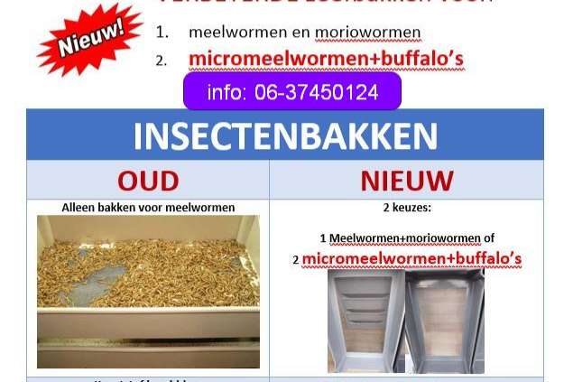 vernieuwde en verbeterde zeefbakken voor snelle beslissers!!!!!