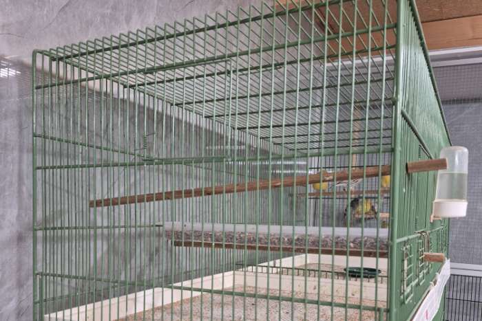 draadkooien kleur groen