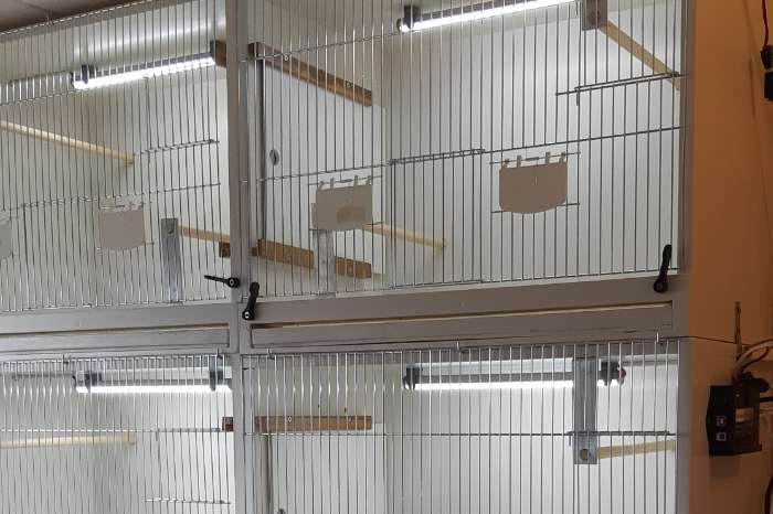 aluminium led tubes in 17-32-52-72-100 cm lengte