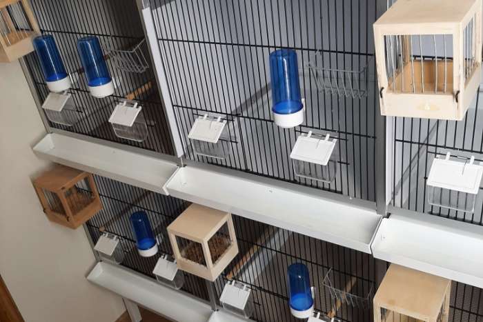 grote  broedkooien  6 stuks van 50 x 50 cm en 60 cm diep