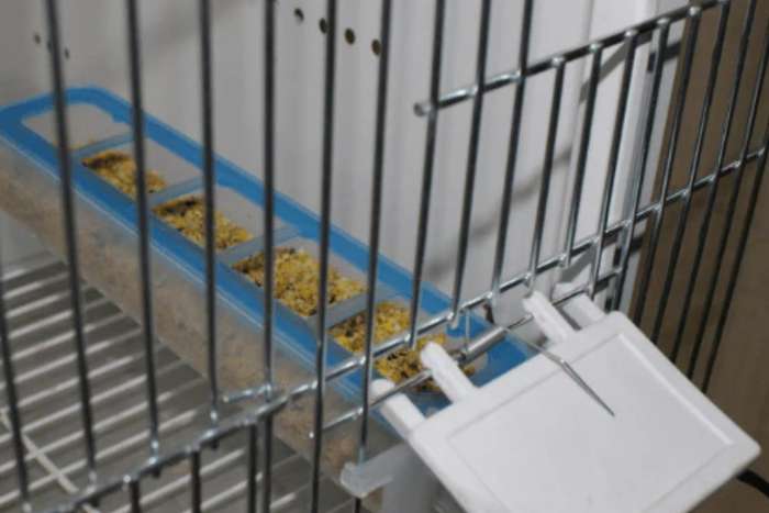 moldes ave - voederbakjes