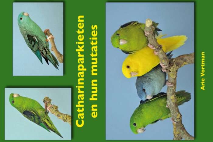 catharinaparkieten en hun mutaties
