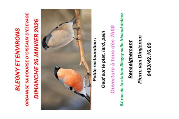 grande bourse d'oiseaux d'élevage liège