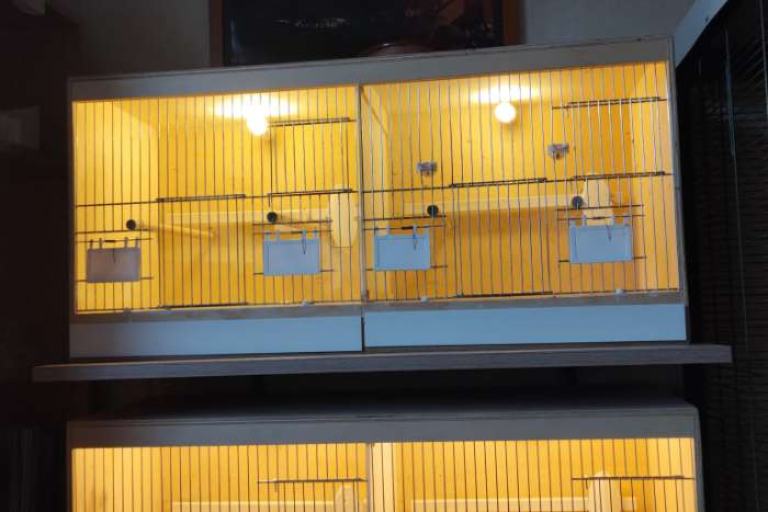 vogelbeurs dordrecht