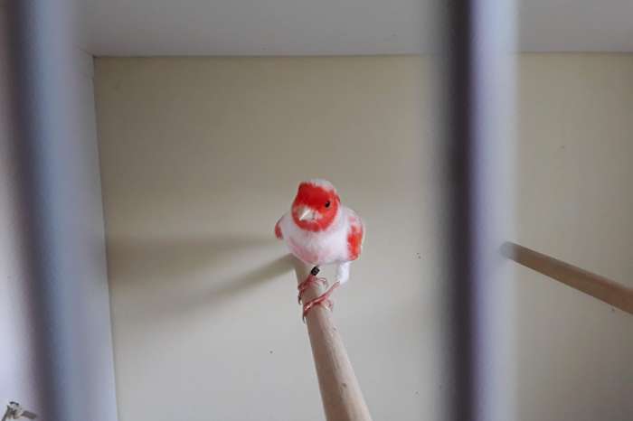 rood mozaiek type1 en 2