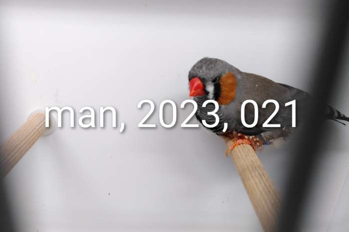 3 mannen grijs split zwartwang.