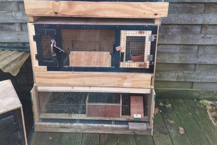 kweekbakken kwartels