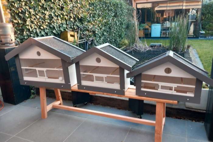 vogel kooien zang kooien