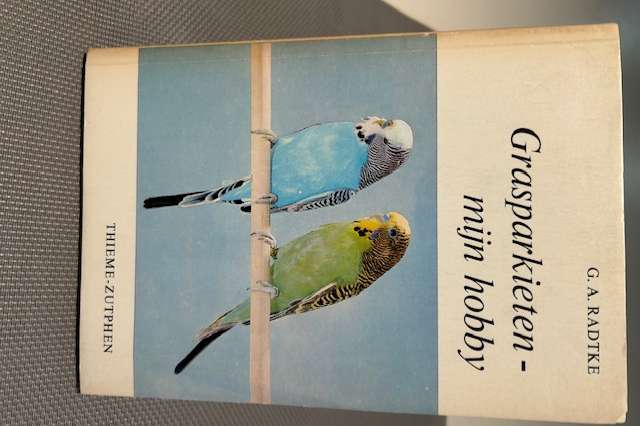 grasparkieten - mijn hobby