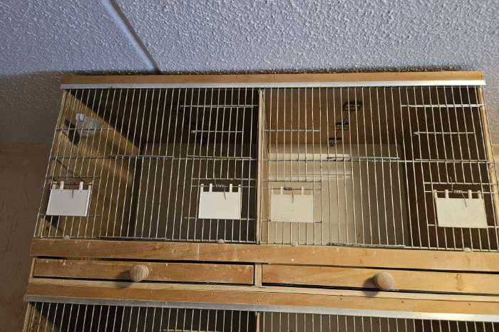 4 dubbele broedkooien