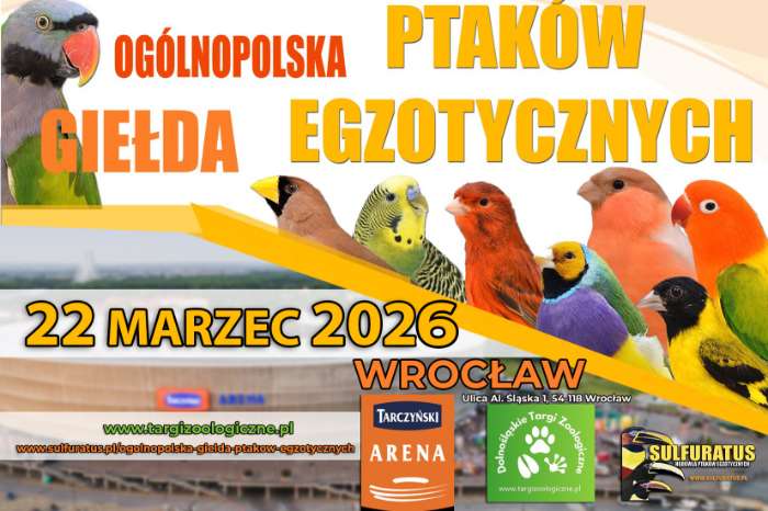 national exotic bird exchange – a new standard in poland