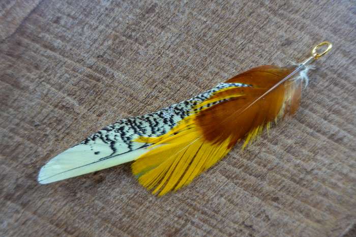 veren en sieraden van fazantenveren