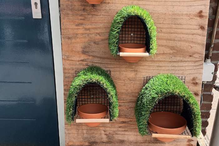 nestkasten tropische vogels,