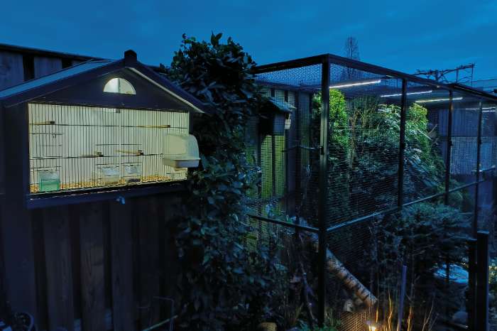 avicultuur-led dimmers voor 'n goed dag/nachtritme