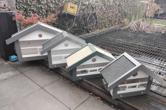 vogel kooien zang kooien