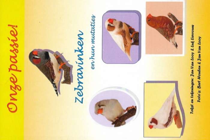 onze passie. zebravinken en hun mutaties