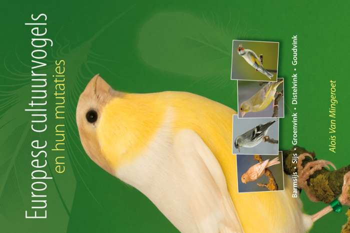 europese cultuurvogels en hun mutaties