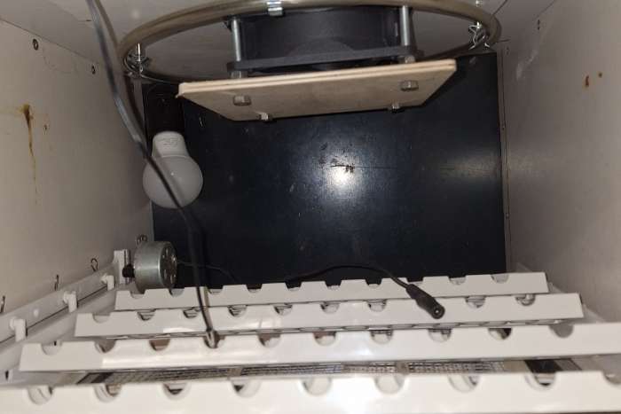 broedkast automatisch