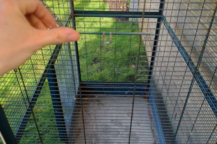 mooie terrasvolière te koop