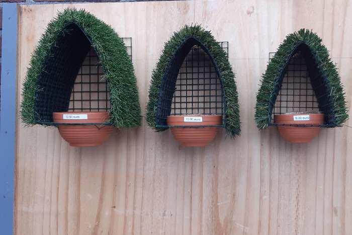 vogelnesten europese vogels,