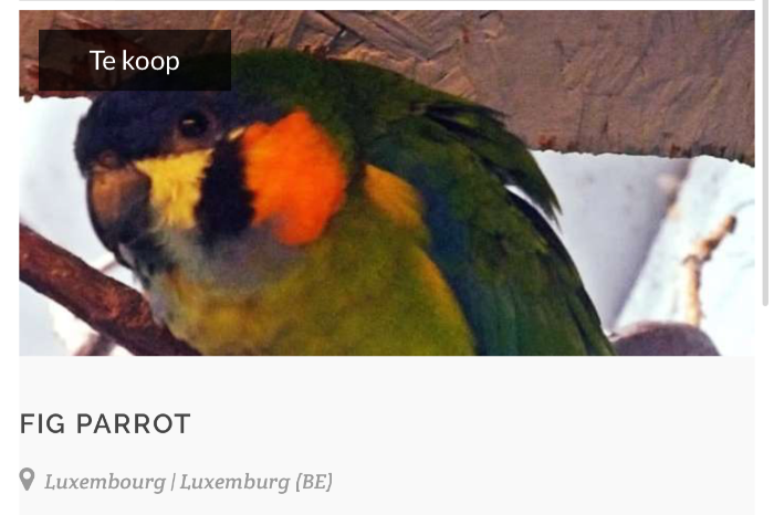 pas op oplichter actief