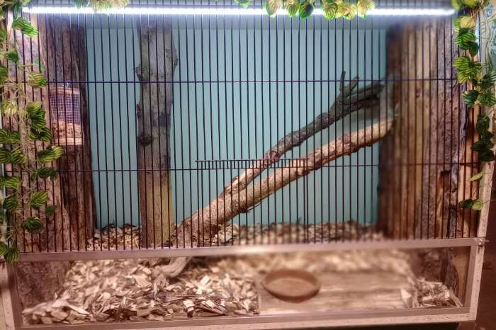 plug-in led verlichting, makkelijker kán niet!