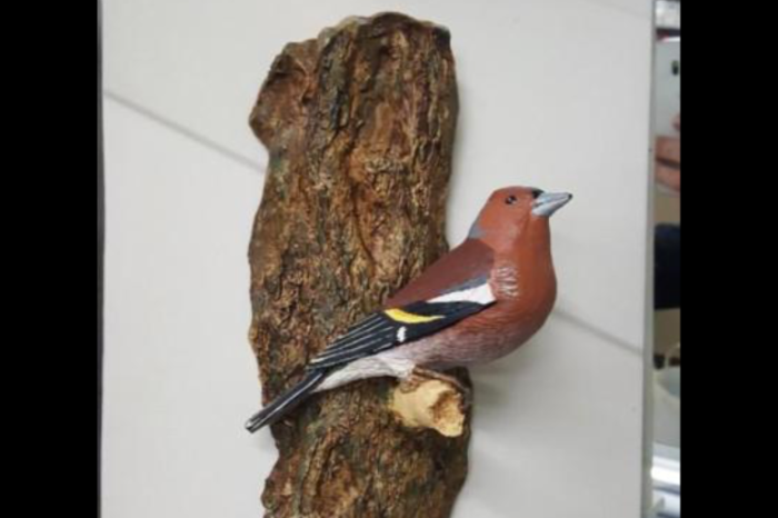 vinkbeeldje gezocht/gevraagd dat is gemaakt door anjo herveille.