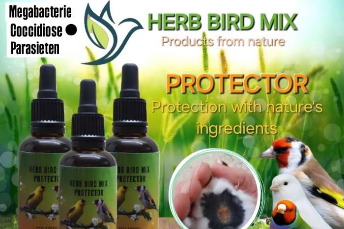 protector 50ml - nature herb bird mix