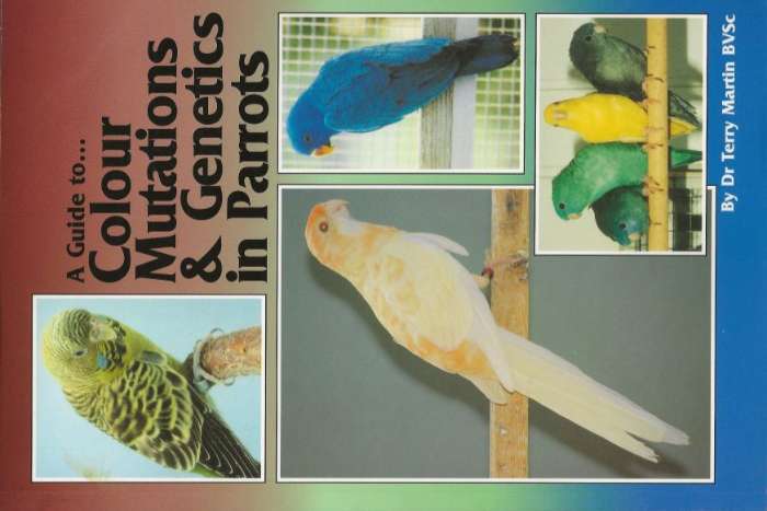 a guide to colour mutations & genetics in parrots