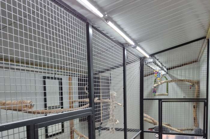 compleet assortiment led producten voor vogels