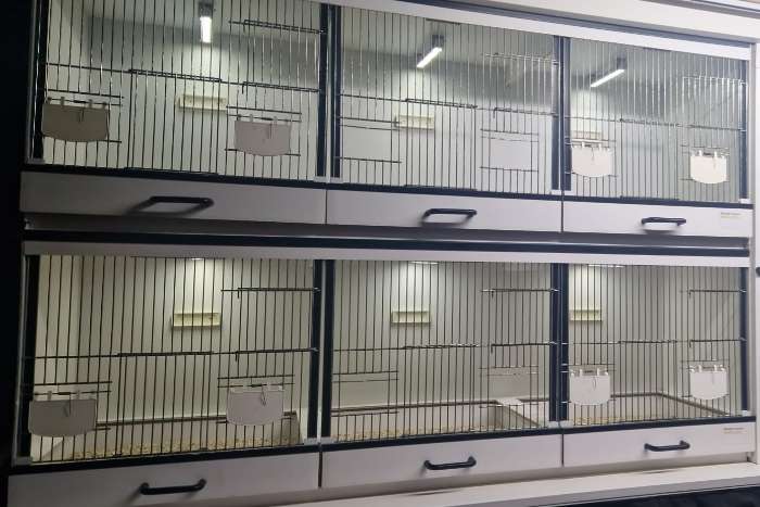 compleet assortiment led producten voor vogels