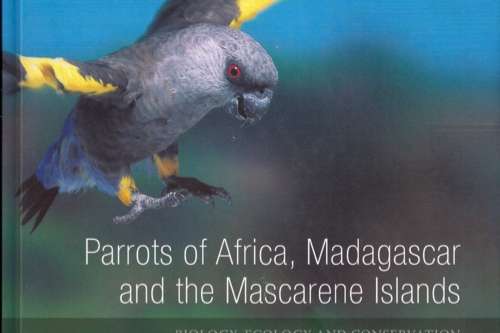 parrots of africa, madagascar and the mascarene islands