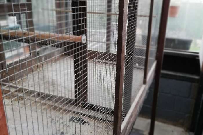 mooie functionele volière te koop