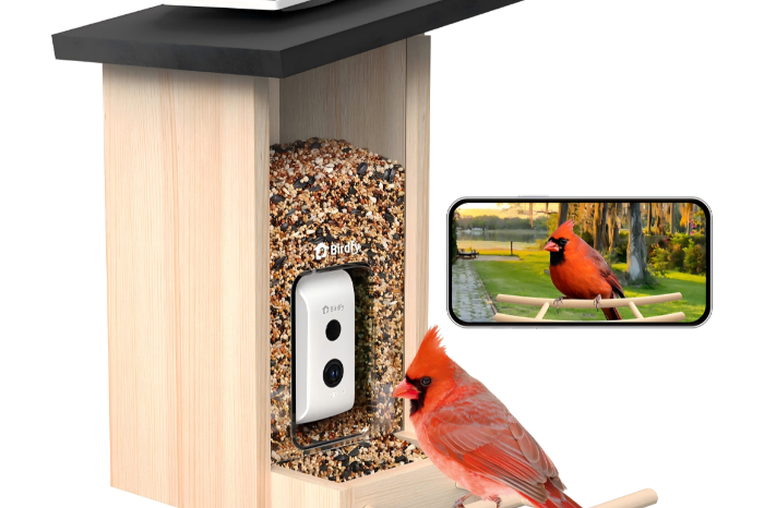 promo ,birdfy voederhuisje met live camera