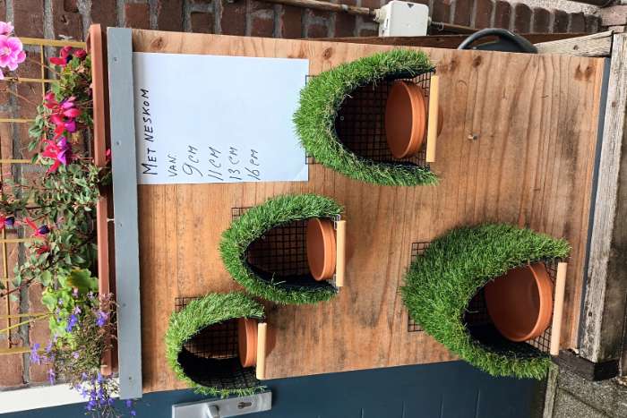 vogelnesten europese vogels,