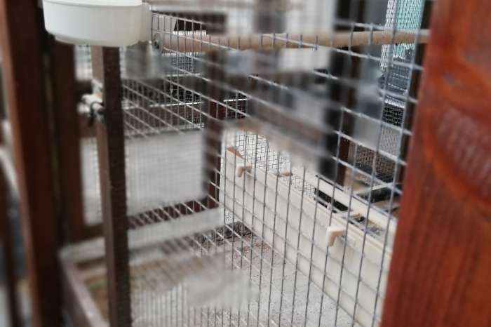 mooie functionele volière te koop