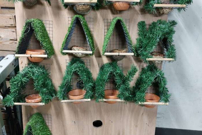 broednestjes  europese vogels