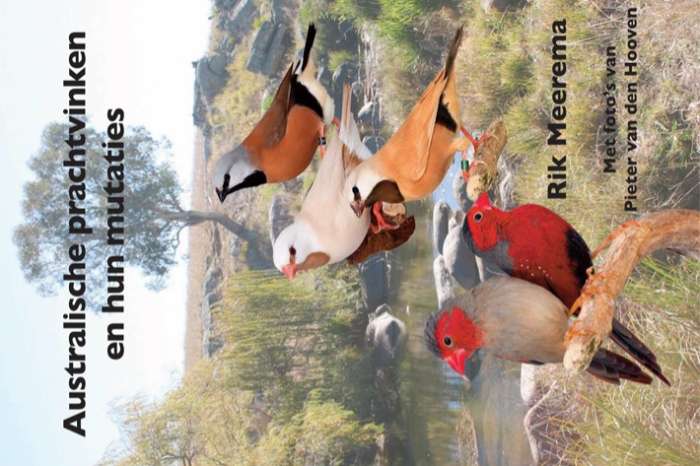 australische prachtvinken en hun mutaties,