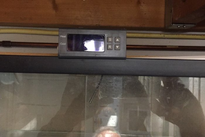 te koop fruitvliegjes kweekstation