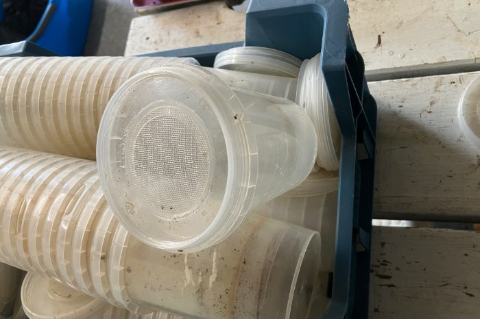 te koop fruitvliegjes kweekstation