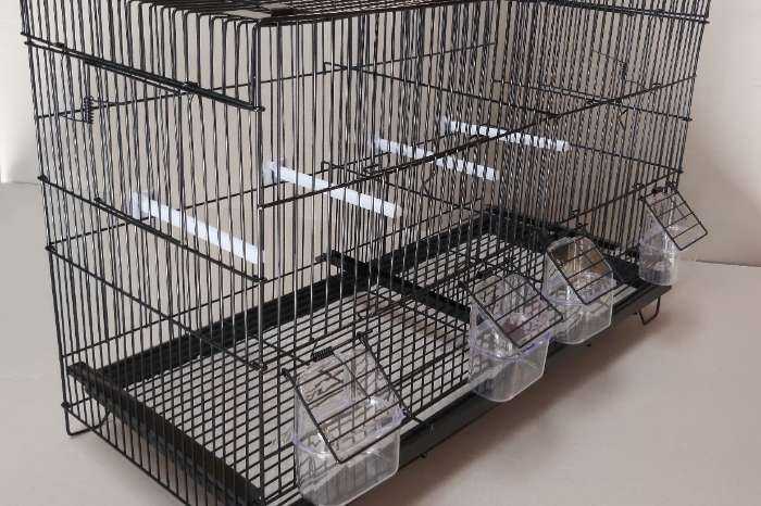 uitpakken en gebruiken, zeer stevige opklapbare broedkooien