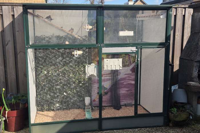 groen aluminium volière met 10 zebravinken