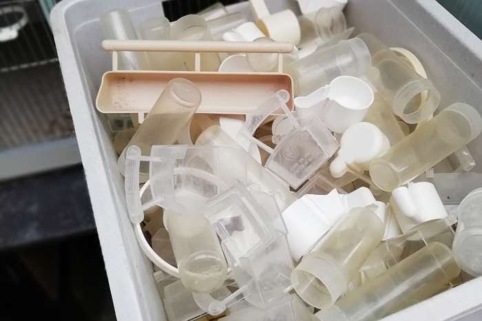 16 kweekkooien + voliere enz...aan mooie prijs