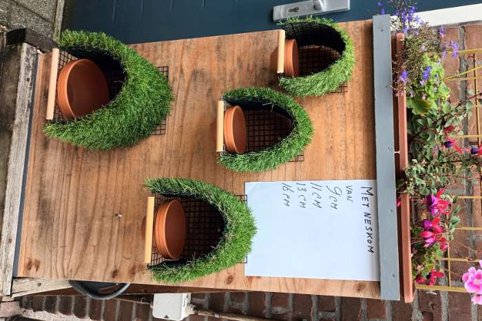 nestkasten tropische vogels,