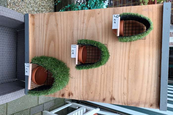 nestkastjes europese cultuurvogels.