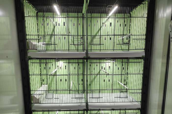 aluminium led tubes in 17-32-52-72-100 cm lengte