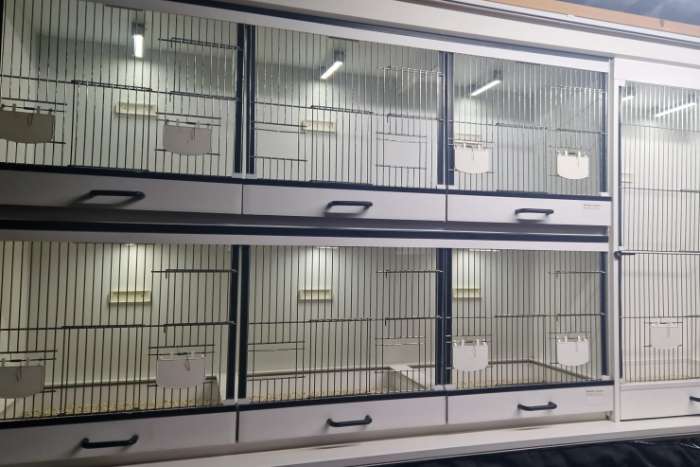 aluminium led tubes in 17-32-52-72-100 cm lengte