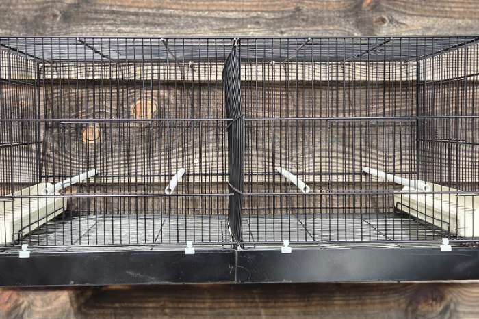 met een kleurtje is ook wel heel mooi